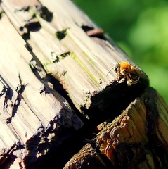 P8020124.JPG