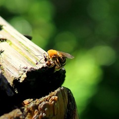 P8020126.JPG
