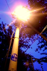 R0016933