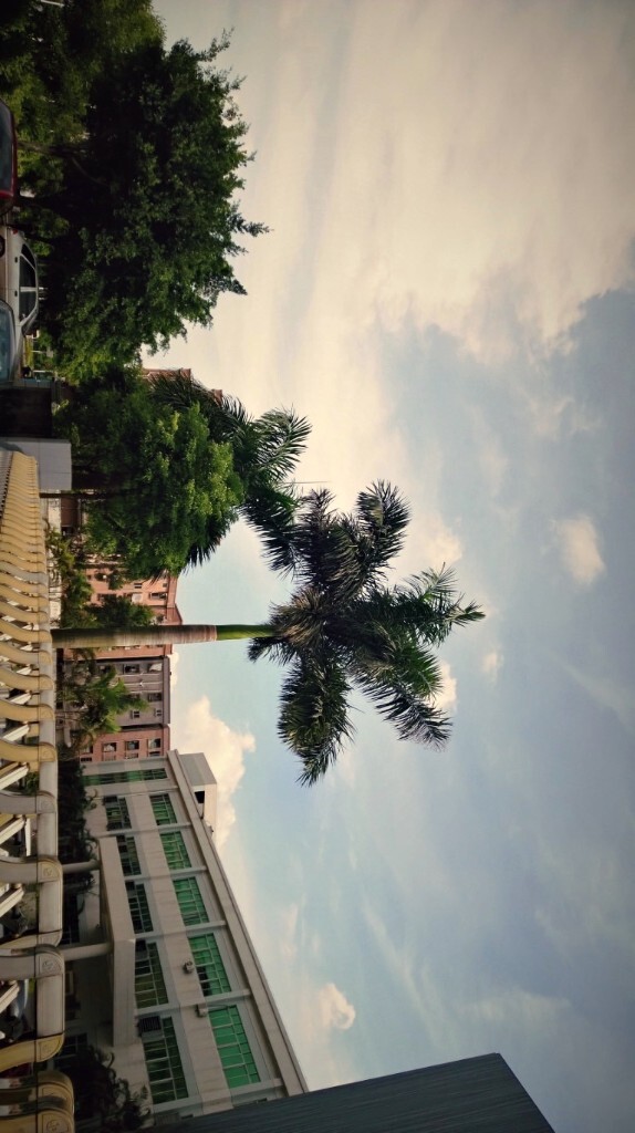 风景