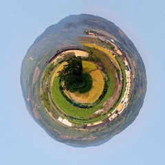 qqw6
