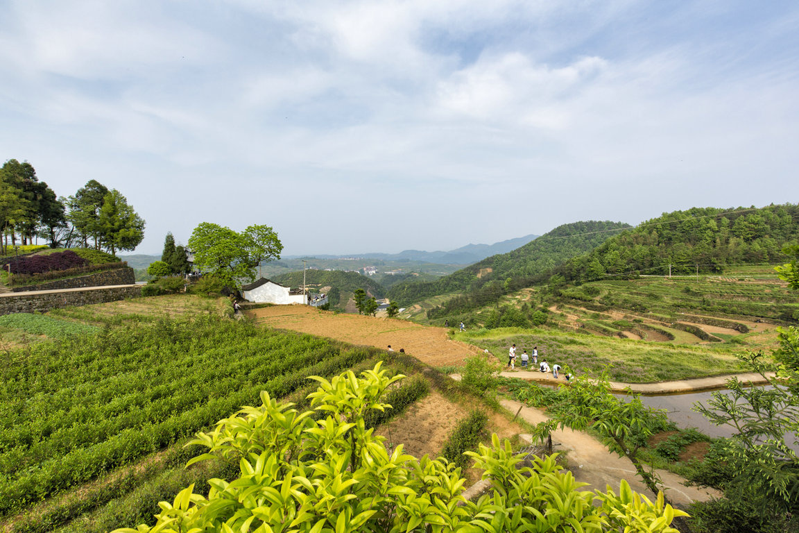 磐安·盘龙梯田