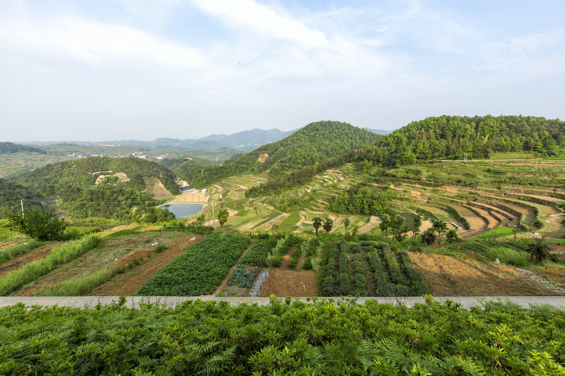 磐安·盘龙梯田