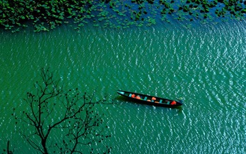 夏 水乡初夏  作者 文昆元 电话13808754199