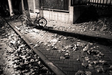 IMG_5713-2