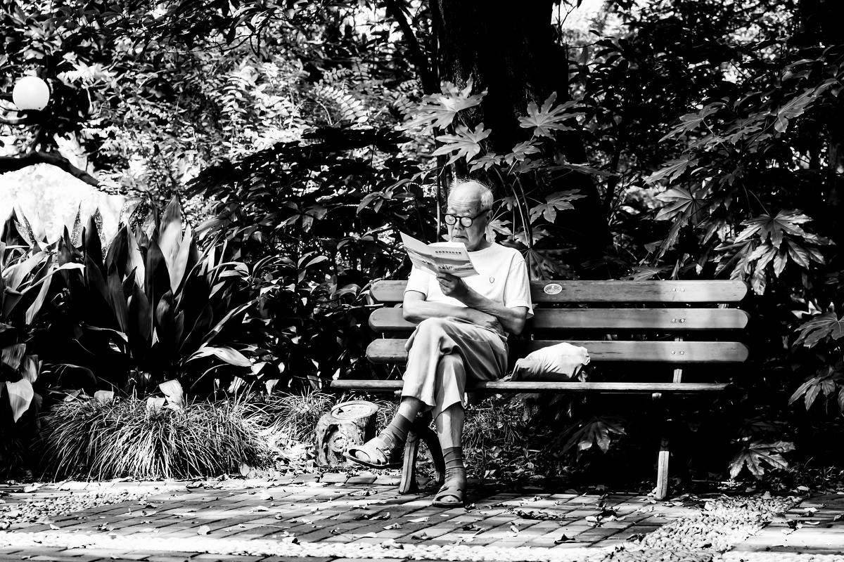 夏日里襄阳公园里一个老人在树荫下安静地看着报纸