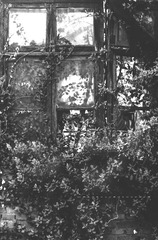 春风十里·画乡 (12)