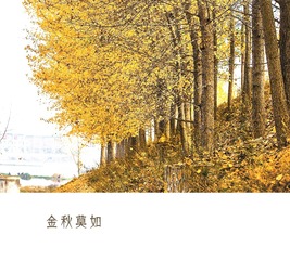 _MG_3002莫如
