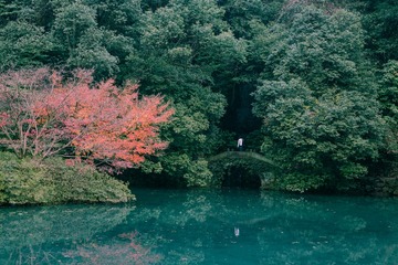 九溪烟树-深秋