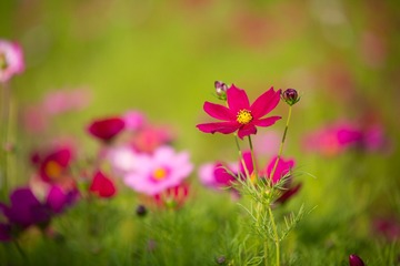 暖夏