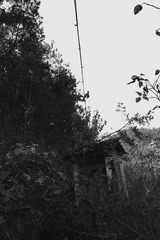 IMG_1996.JPG