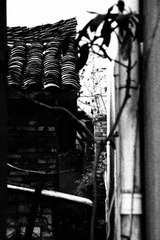 IMG_1976.JPG