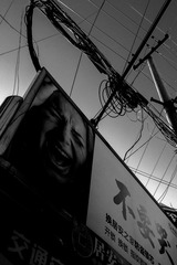 DSC00462_