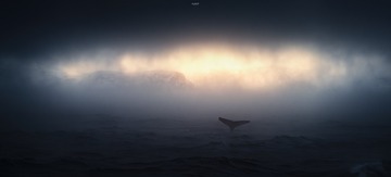1000563954