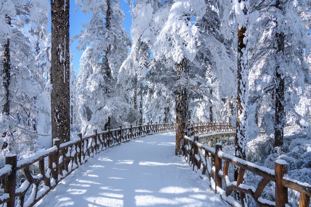 瓦屋山雪景图片图片