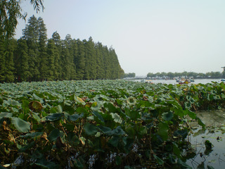PA060049