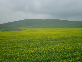 P7070008