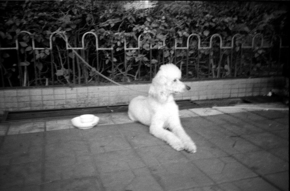 Scan-120213-0020<br />