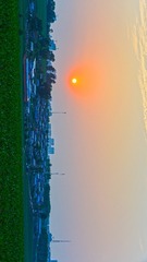 1000004367