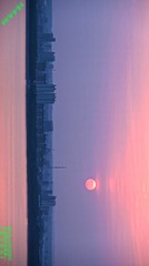 9027828