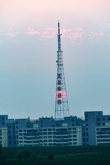 1000004544