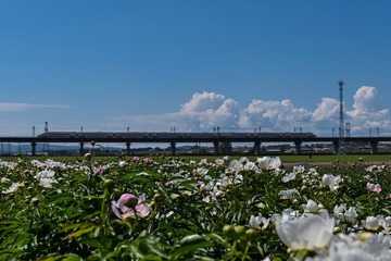 351642