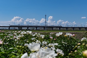 351638
