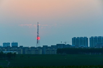 1000004528