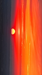 116371