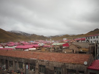 P1010316-1