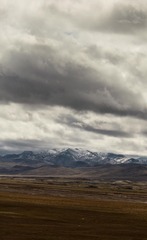 P9170356-8