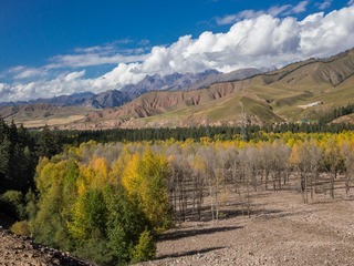 P9170440-13