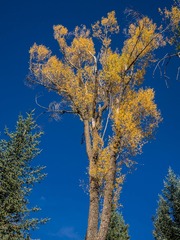 P9170447-16