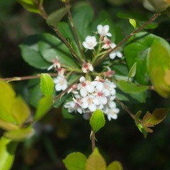P4021908-8