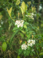 P4021906-7