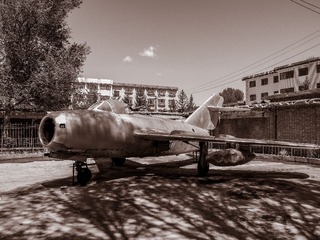 P5100046_-12