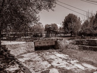 P5100024_-9