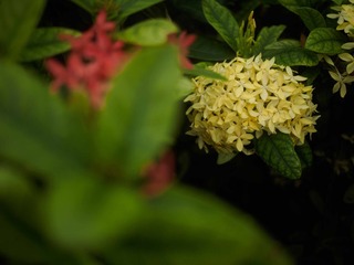 P6222433-3