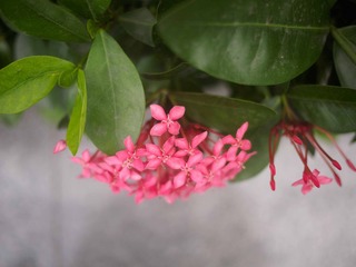 P6222440-6
