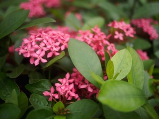 P6222439-5