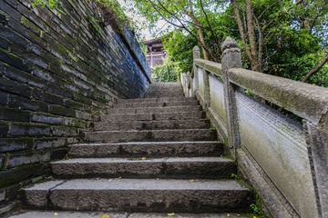 161542