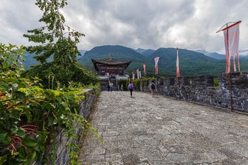 161545