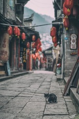 IMGP9472-编辑