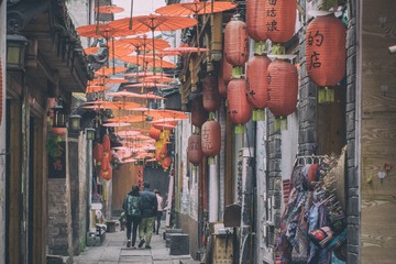 IMGP9477-编辑