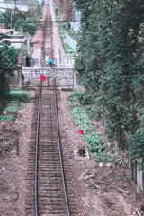 IMGP9731-编辑