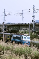IMGP9807-编辑