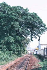 IMGP9845-编辑
