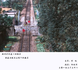 IMGP9735-编辑