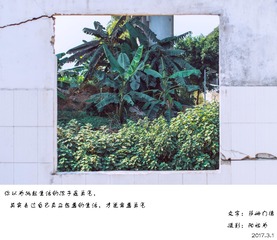 IMGP9785-编辑