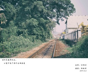 IMGP9844-编辑